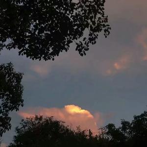 中文字幕资源站
